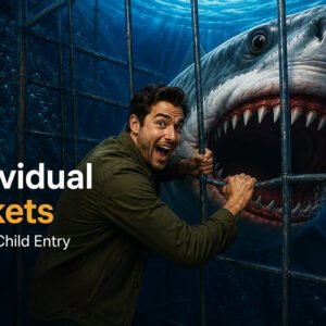 Adult/Child Ticket for Lisbon